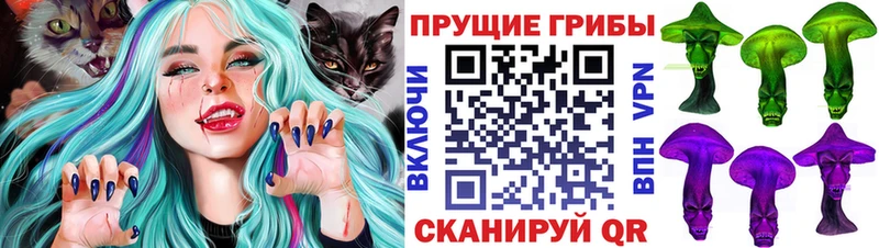 Псилоцибиновые грибы Magic Shrooms  mega   Сосновоборск  купить закладку 